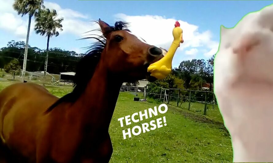 Techno Pferd